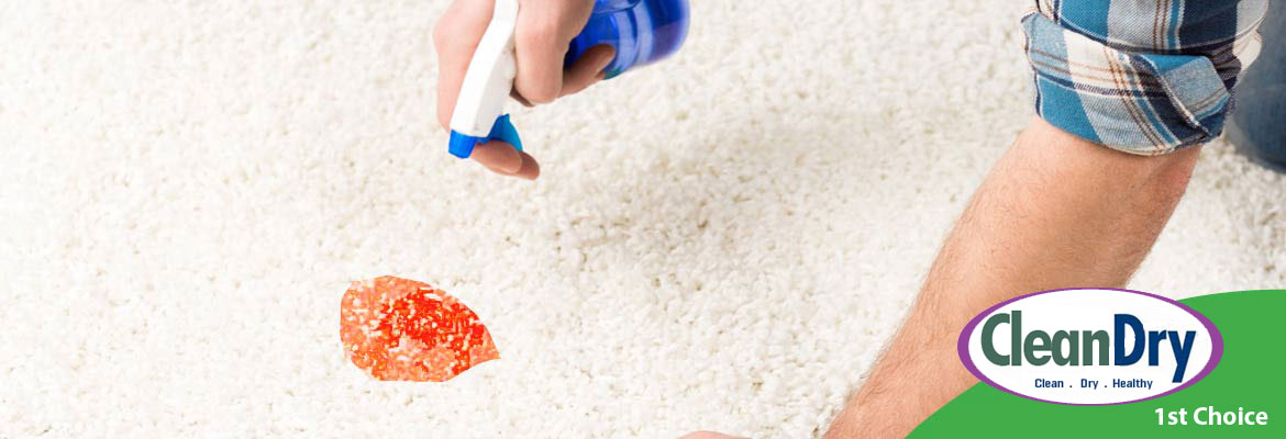 how-to-remove-carpet-stains Specialty Stain Removal From Carpets & Upholstery